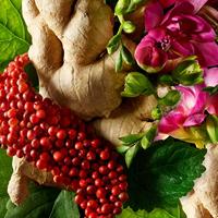 Hand lotion Molton Brown Fiery Pink Pepper 300 ml - thumbnail