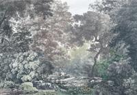 Noordwand Komar Raw Fotobehang Fairytale Forest - R4-060 - thumbnail