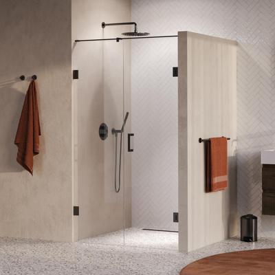 Brauer Void - Nisdeur - 2-Delig - Helder Glas - 110 x 200 cm - Omkeerbaar - met Draaideur 60 cm - Aan Muur - incl. Glascoating - PVD Gunmetal