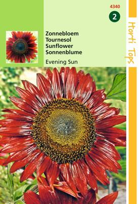 Zaden Helianthus Zonnebloem Evening Sun / Avondzon Hortitops - Hortitops