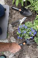 Black&Decker Tuinset 4-delig - thumbnail