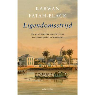 Eigendomsstrijd (Paperback)