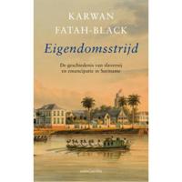 Eigendomsstrijd (Paperback) - thumbnail