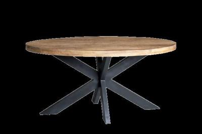 Sturdy Oval 160cm-13407