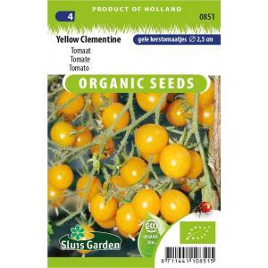 Tomaat Yellow Clementine BIO Tomaat Yellow Clementine BIO