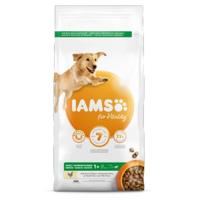 IAMS Adult Large Chicken Hond 3 kg - thumbnail