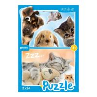 Rebo legpuzzel 2x24 stukjes - Baby anima - thumbnail