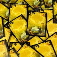 Everdell Card Sleeve Set - thumbnail