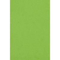 Amscan 77015-53 wegwerptafelkleed Rechthoekig Kunststof Groen - thumbnail
