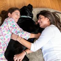 InnovaGoods® Cloft Hondenbed, groot hondenbed, polyesterweefsel, anti-stress bed voor middelgrote honden, maximale ontspanning en rust, hondenbed met afneembare en wasbare hoes, beige - thumbnail