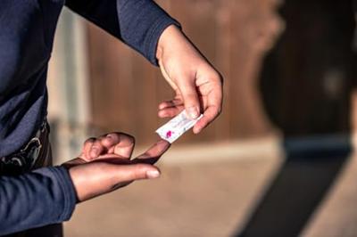 Secure Horse Flash/Confidence 10 stuks Secure Horse Flash/Confidence 10 stuks