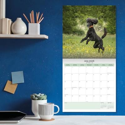 Poedel Kalender 2026 Poedel Kalender 2026