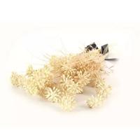 Kunst Tak Dille Creme Buitengewoon de Boet - Buitengewoon de boet - thumbnail