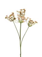 Anethum spray pink 68cm - thumbnail
