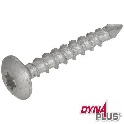 Dynaplus Tuinbeslagschroef Ar-Silver Ovk Voldraad Torx TX30 6.0X40 | 50 stuks - 0288.08.49601 Dynaplus Tuinbeslagschroef Ar-Silver Ovk Voldraad Torx TX30 6.0X40 | 50 stuks - 0288.08.49601