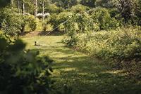 Fiskars Sectorsproeier | op metalen pin - 1023658 - thumbnail