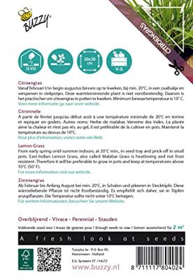 Xotica Citroengras zaden Buzzy - Buzzy