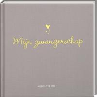 Mijn Zwangerschap Hello Little One - thumbnail