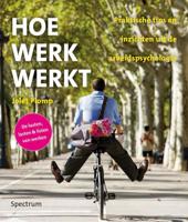 Hoe werk werkt (Paperback) - thumbnail