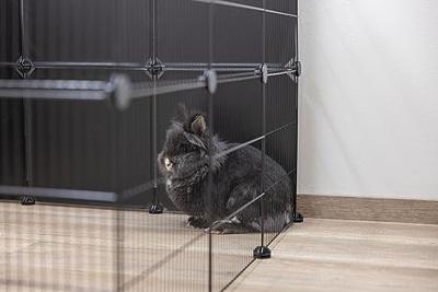 Behuizing - KERBL - Hopsi - Binnen-/buitengebruik