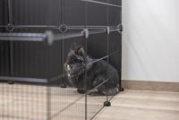 Behuizing - KERBL - Hopsi - Binnen-/buitengebruik - thumbnail