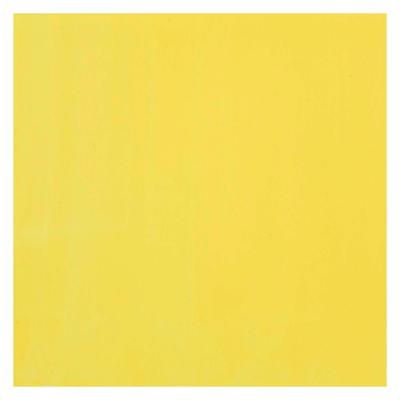 Bruynzeel Ecola plakkaatverf fles 16ml citroengeel (primair) 205