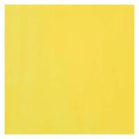 Bruynzeel Ecola plakkaatverf fles 16ml citroengeel (primair) 205 - thumbnail