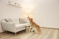 Trap voor dieren - KERBL - Easy Climb 2.0 - 45 x 35 x 34 cm - Tot 50 kg - thumbnail