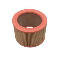 luchtfilter ADP152216 - thumbnail