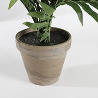 Decoratieve plant Mica Decorations 45 x 60 cm Keramisch PVC Palmboom - thumbnail