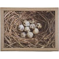 Schootkussen eieren in nest 43cm - thumbnail