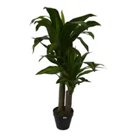Kunstplant Dracaena fragans in pot h90cm groen - thumbnail