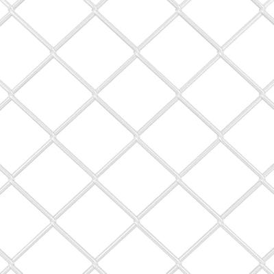 Gaashekwerk Zilver 10 x 1 m Gegalvaniseerd staal