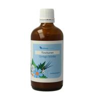 Balancepharma Ginkgo biloba tincturen 100 Milliliter - thumbnail