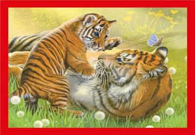 Clementoni legpuzzel 4in1 baby cuddles Clementoni legpuzzel 4in1 baby cuddles