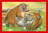 Clementoni legpuzzel 4in1 baby cuddles - thumbnail