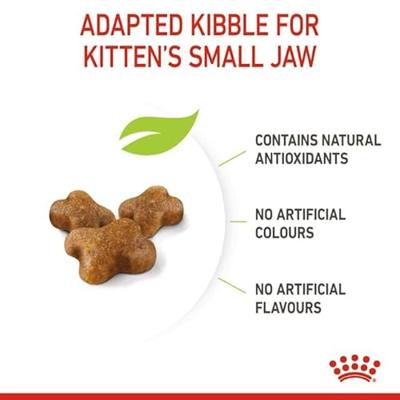 ROYAL CANIN Kitten FHN - droog kattenvoer - 400g