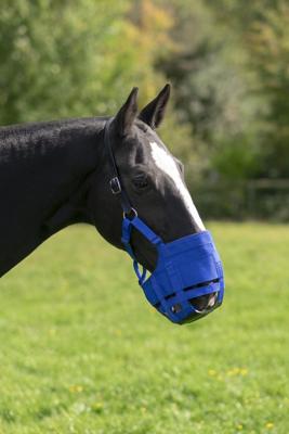 The Ultimate Muzzle Pony