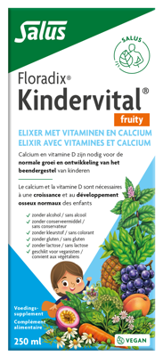 Salus Floradix kindervital fruity glutenvrij 250 Milliliter