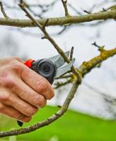 Gardena Pro snoeischaar promo - thumbnail