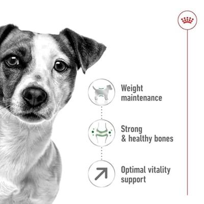 Royal Canin canin mini adult +8 - thumbnail