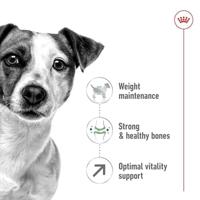 Royal Canin Mini Adult 8+ hondenvoer 4 kg - thumbnail