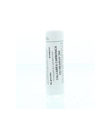 Homeoden Heel Calcarea carbonica ostrearum 30K 6 Gram Homeoden Heel Calcarea carbonica ostrearum 30K 6 Gram