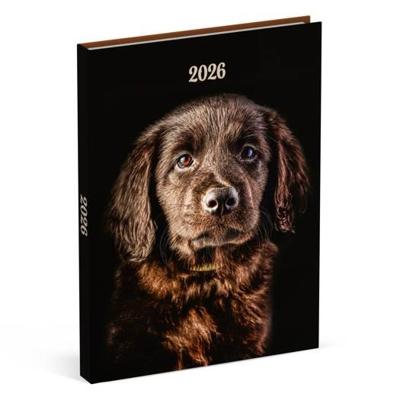 Honden Desk Agenda 2026