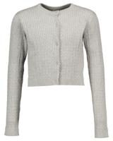 Vest - Grijs - thumbnail