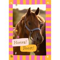 Wenskaart hallmark uitnodiging paarden 6 stuks - thumbnail