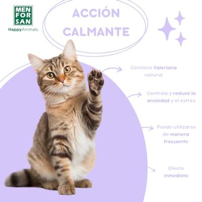 Verzachtende Crème Menforsan 60 ml