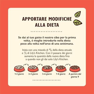 Lily&apos;s Kitchen Paté zalm met kip en garnalen natvoer kat 1 tray (19 x 85 g)