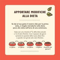 Lily&apos;s Kitchen Paté zalm met kip en garnalen natvoer kat 2 trays ( 38 x 85 g) - thumbnail