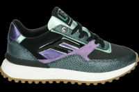 Floris van Bommel NOPPI 36.13 - alle - thumbnail